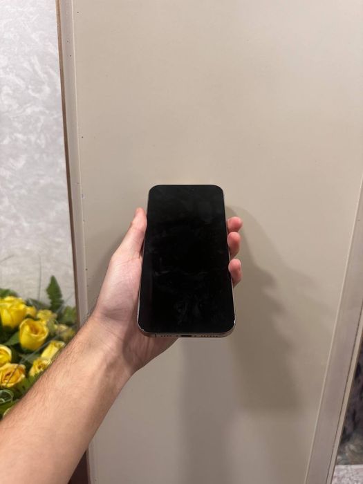 Iphone 16 pro max desert