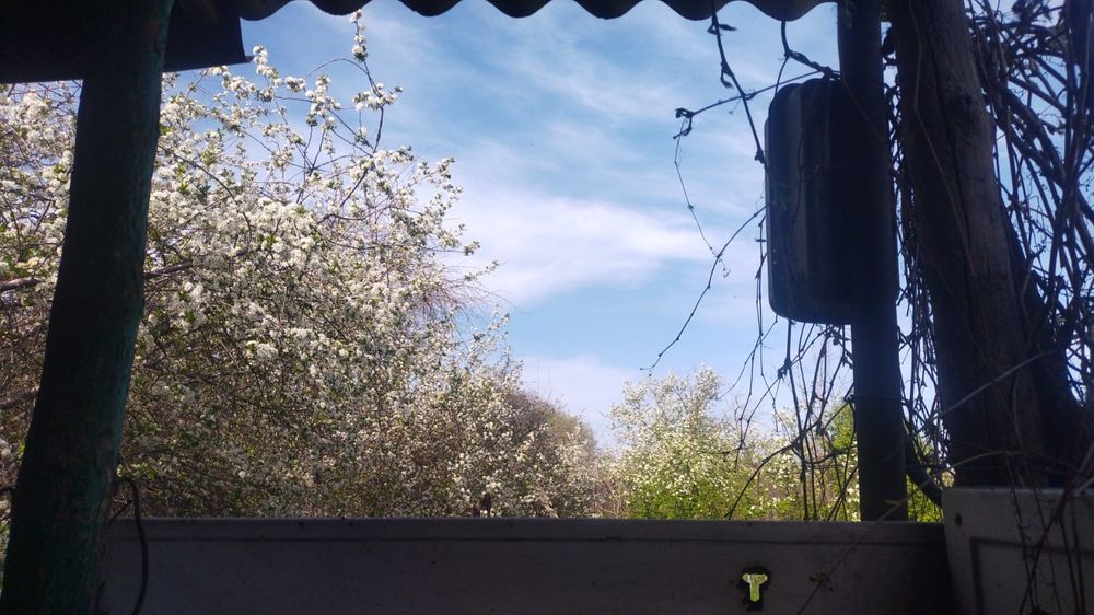 Дача восточный правый 5 дачи