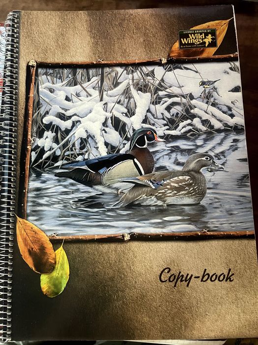 Тетрадь Silwerhof «Shadow forest», А4, 80 листов, клетка