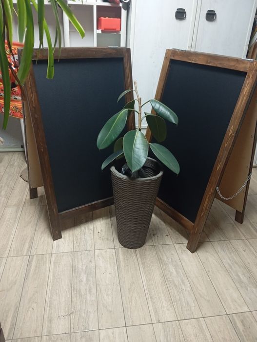 Меловые доски...