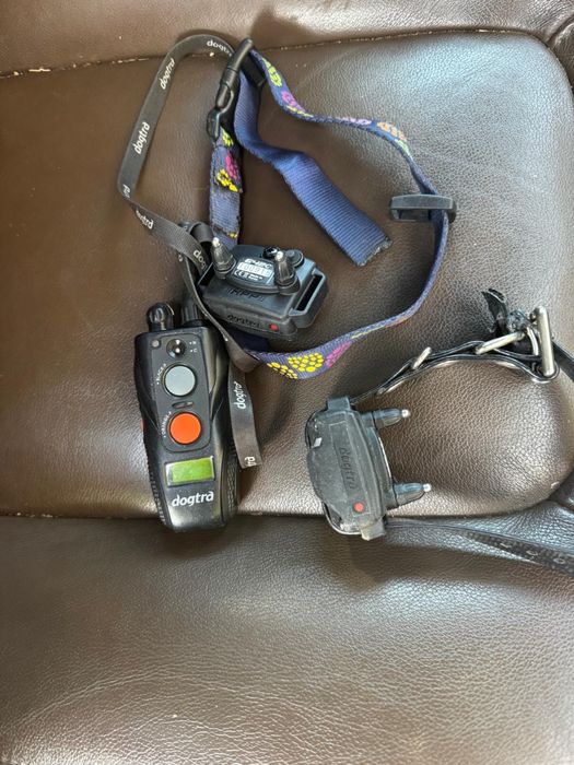 Zgarda electrica dresaj DOGTRA 642 C