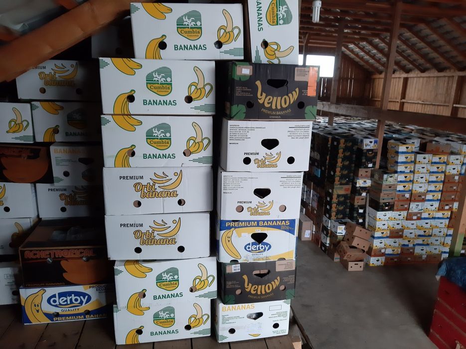 Baxuri banane noi și în stare bună.