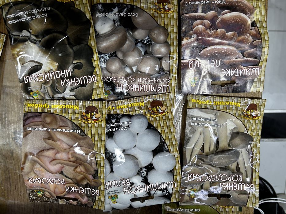 Продается Мицелий грибов