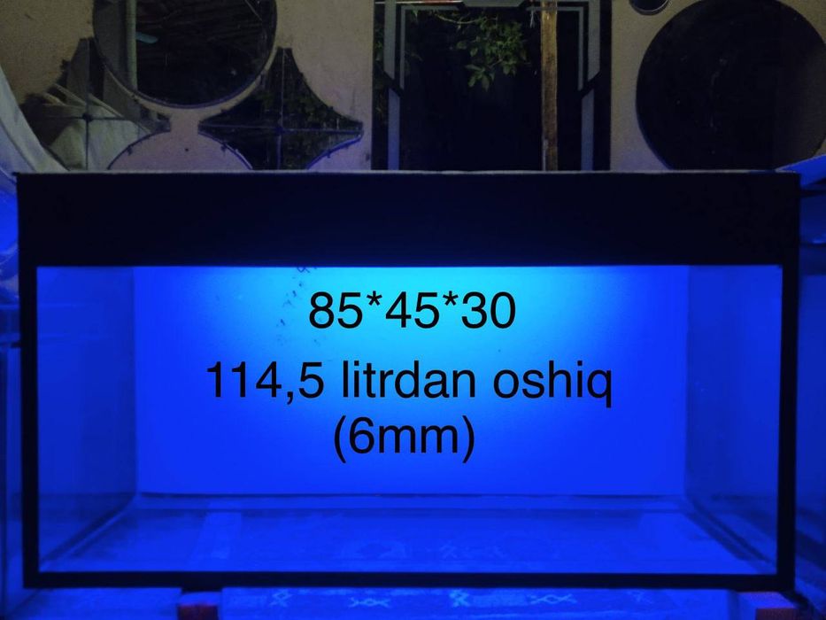 Аквариум биринчи қўл хажмига караб нарх ўзгаради СМС йозманг қўнгироқ