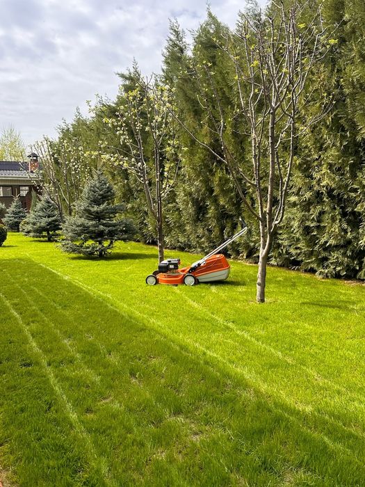 Стрижка газона  денис