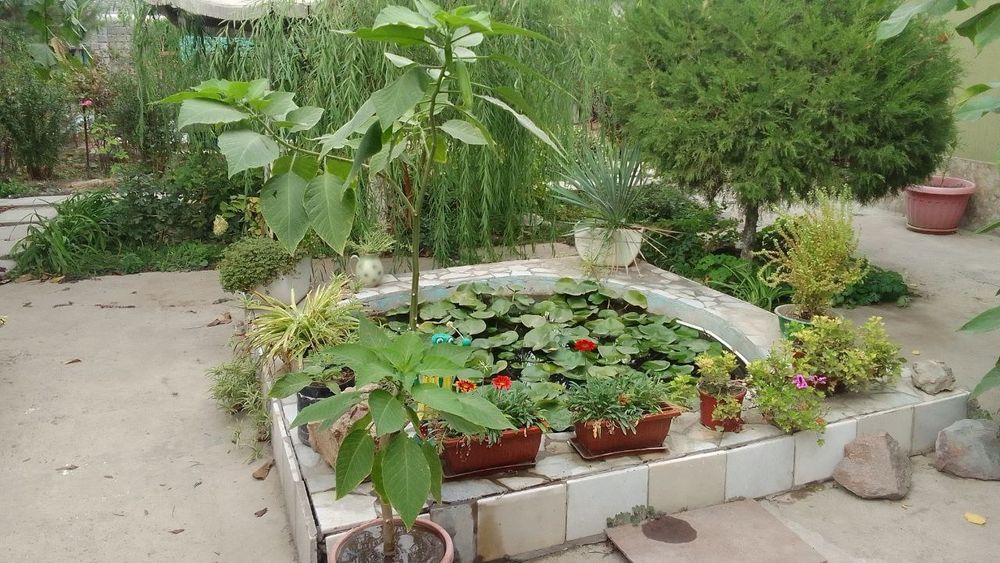 Продам Дом-Дачу, Пскентский район, Срочно