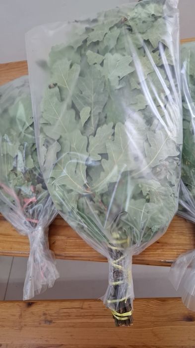 Дубовые веники, опт и розница