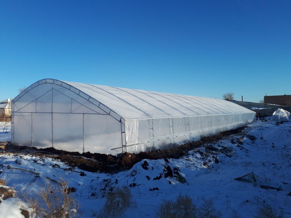 Том парник иссикхона сурток валиш курамиз сфатли тез ва пухта