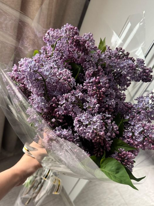 Свежи Серени ,есть доставка