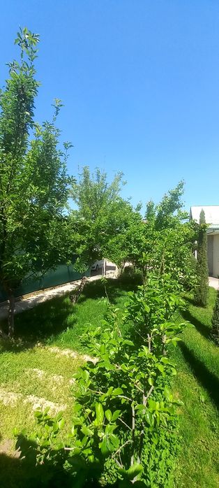 Бинокор 3 сотки земля