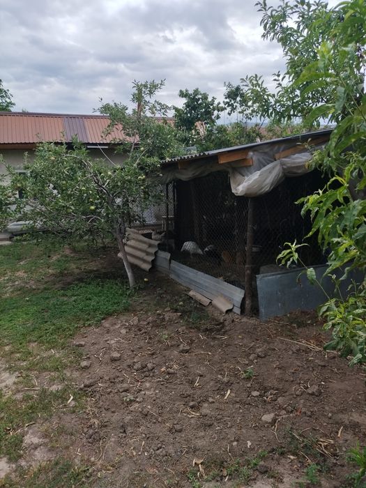 Продам дом-дачу, срочно