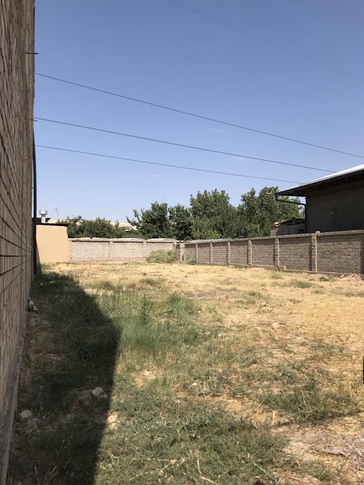 Nazarbek Pushkinda Yer Sotiladi