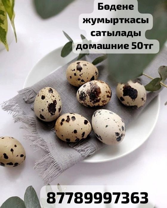 Яйцо Перепелиное