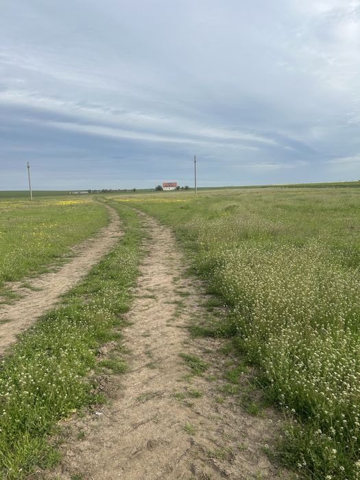 Teren extravilan Alexandria de Închiriat