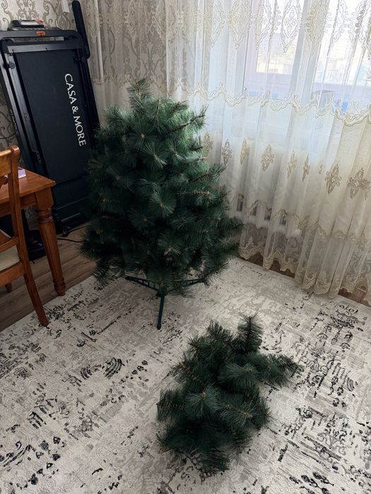Отдам елку бесплатно