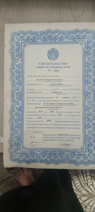 Здам в оренду землю