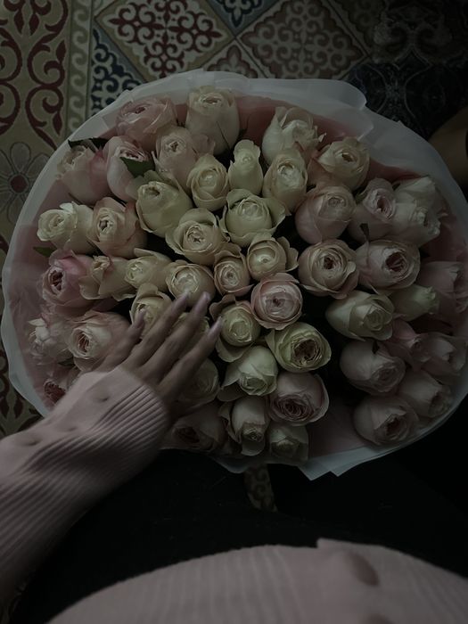 цветы свежий  роза 51