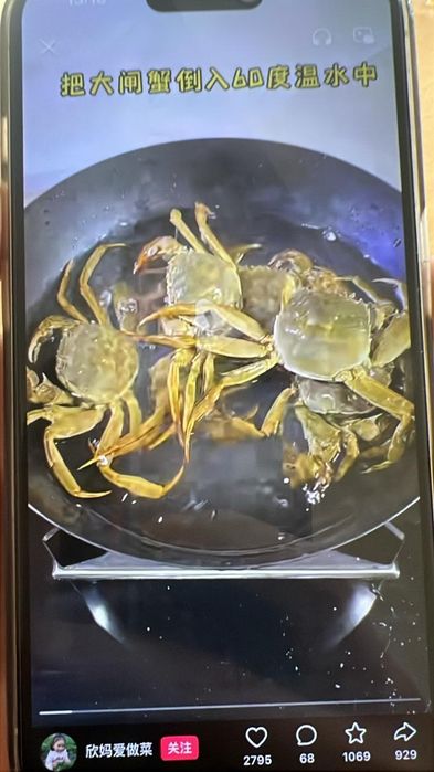 Креветки,рыба,раки,икра