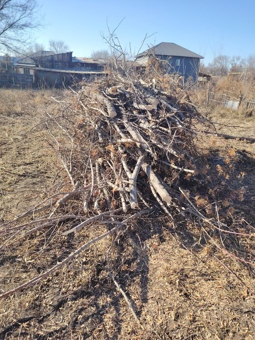 Дрова сухие еее ее