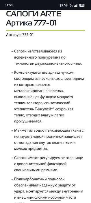 Зимнии сапоги Арктика