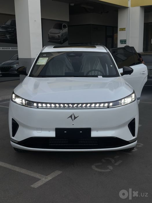 Dongfeng 008 elector