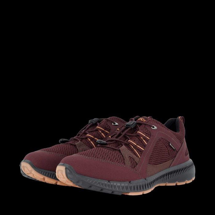 Adidasi ECCO TERRACRUISE II GTX 42. Noi la cutie (Gore-Tex)