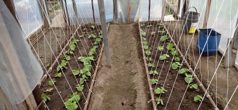 Прода м дачу сад Южной