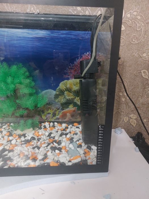 Baliqlar uchun Akvarium 150litrlik