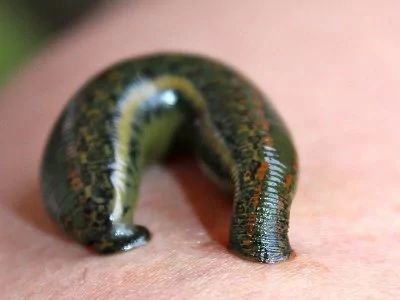 Массаж на выезд