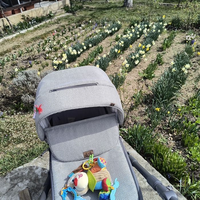 Бебешка количка 3 в 1 Adamex