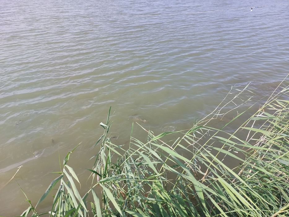 Baliqchilik uchun mujjalangan xo'jalik maydoni sotiladi 6 gektar