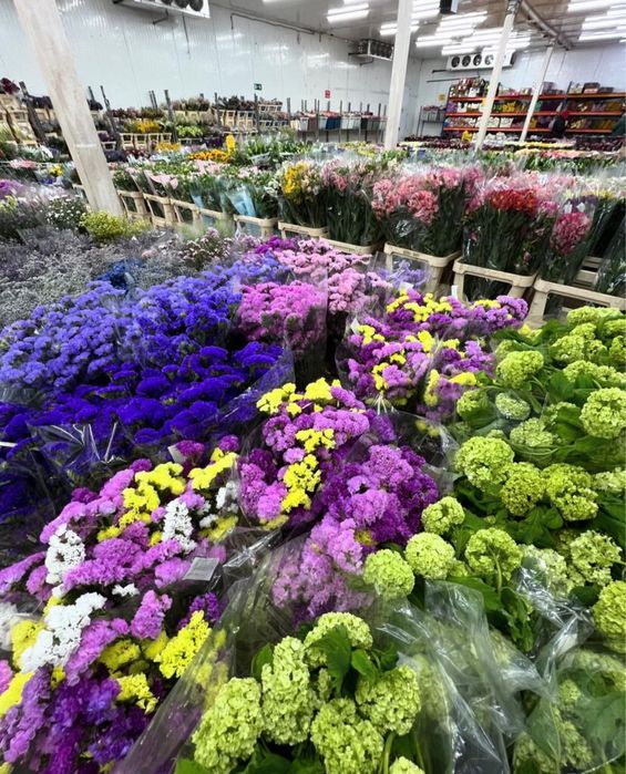 Тюльпаны, герберы, хризантемы, ромашки, пионы, розы