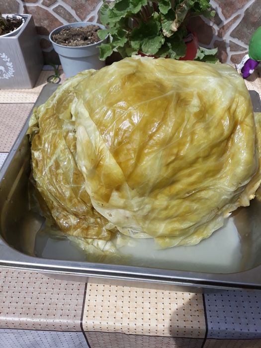 Vand varza murata 6 lei kg