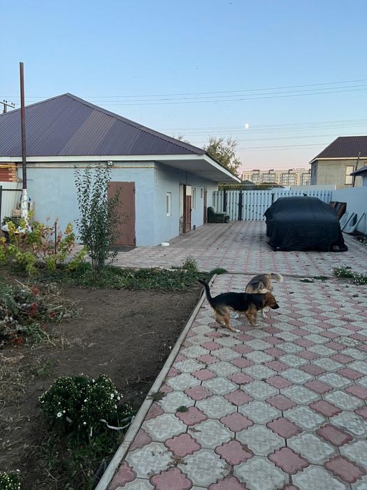 Продам дом, старый аэропорт.