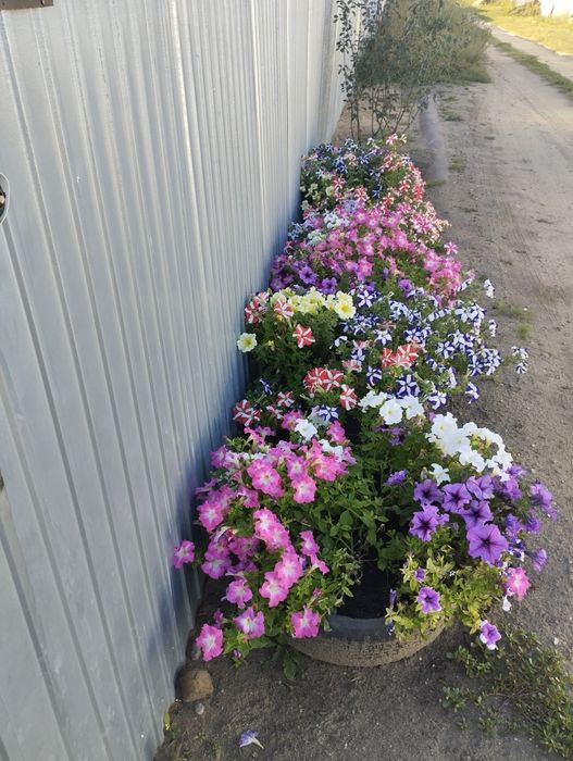 Продам дачу сады 1,16/а