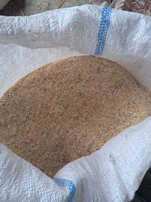 Furaj si porumb de vanzare