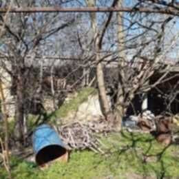 УПИ с постройки в с.Оряховица