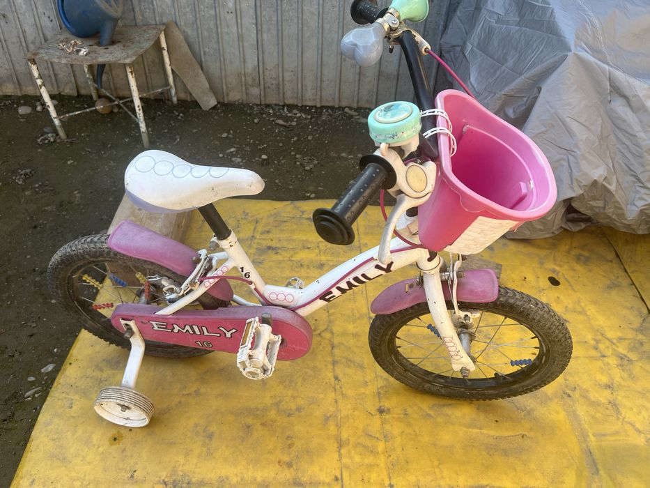 Bicicleta fetite si casuta papusi