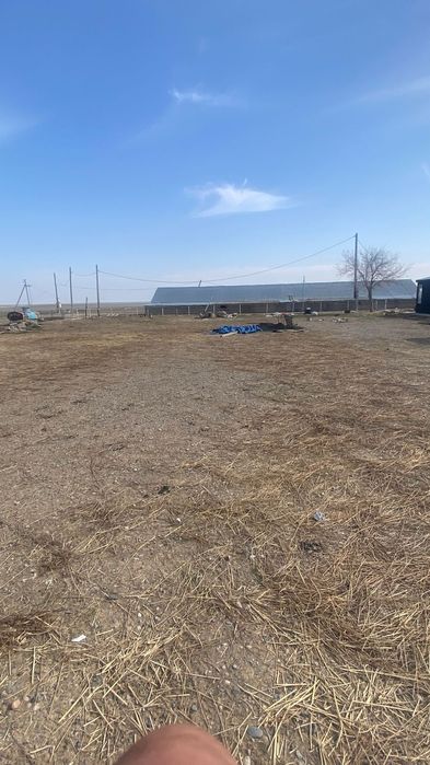 Продам фазенду 800 гектар