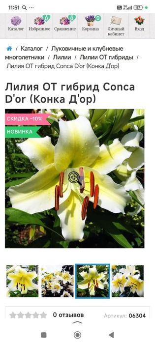 Лилии 10 сортов 1500