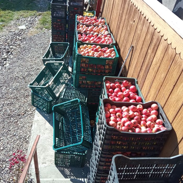 Vand mere nestropite/BIO