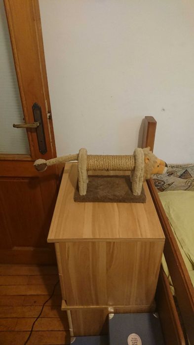 Ansamblu pentru pisici