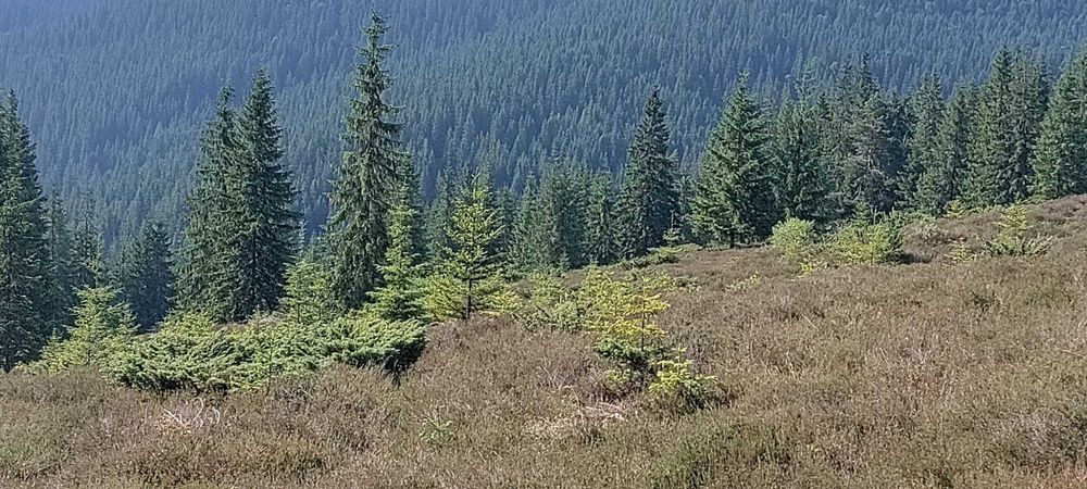 Teren in muntii Apuseni,Belis-Cluj