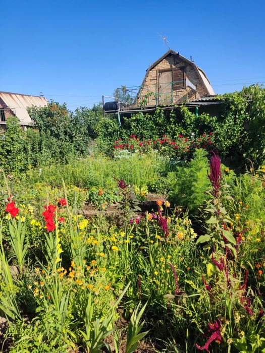 Продам дачу (Медьзаводские дачи)