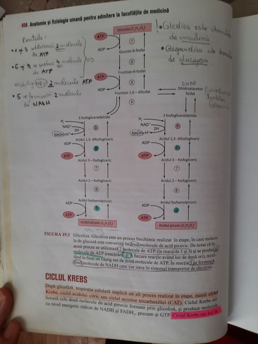Barron's pentru admiterea la medicină
