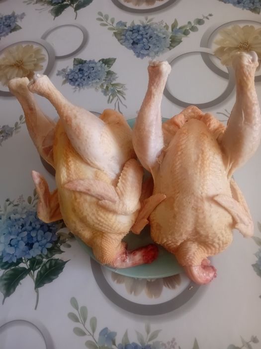 Продам мясо бройлера домашнее