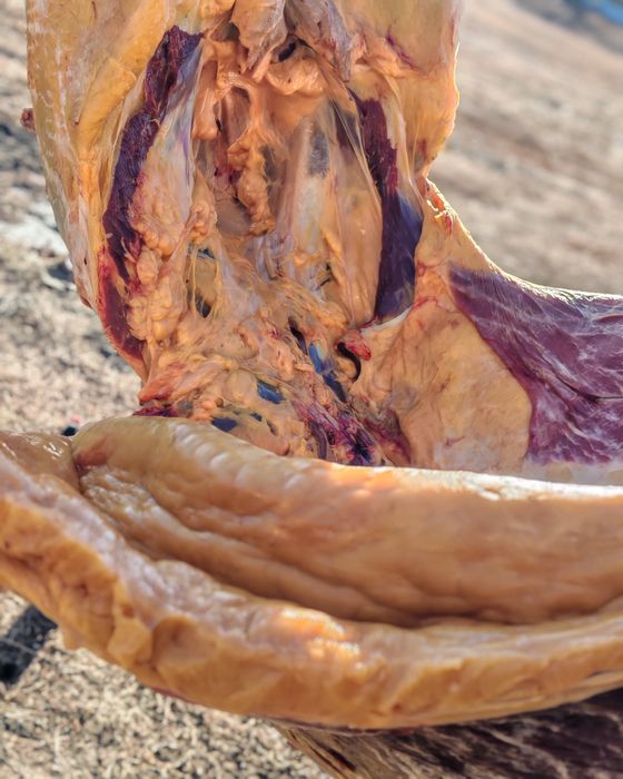 Семіз бие еті сатылады