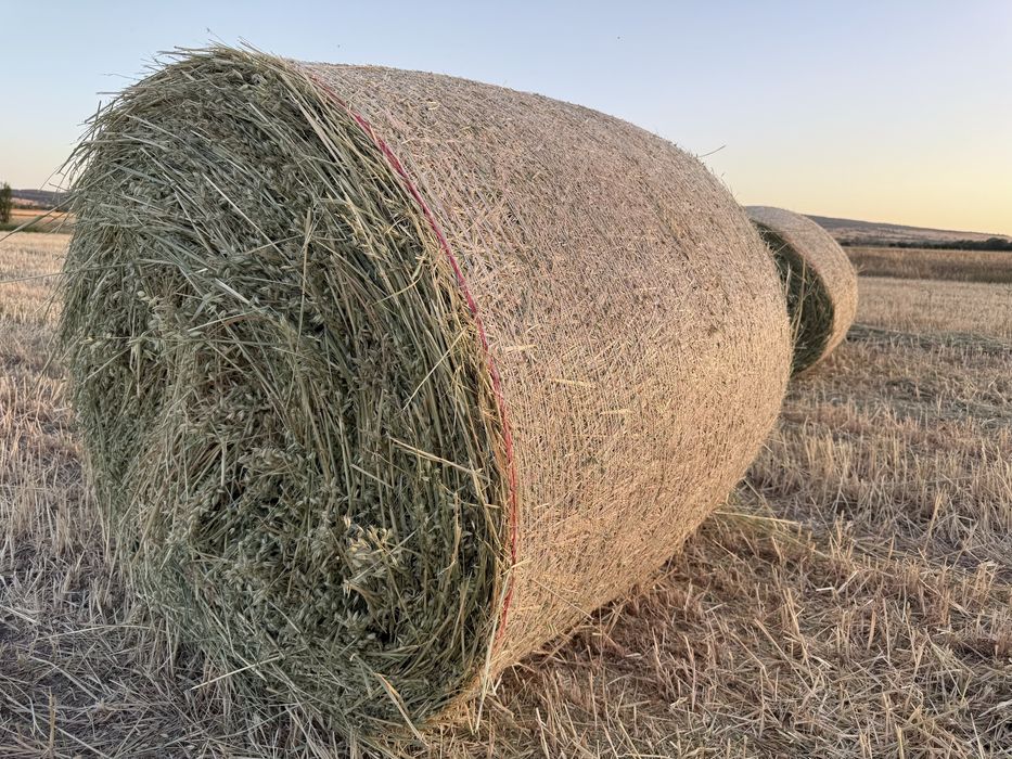 Рулонни бали люцерна,ливадно сено,просо,овес и др.!
