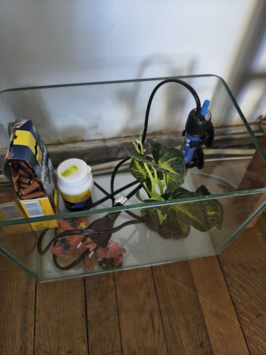 Vând acvariu 9-10l