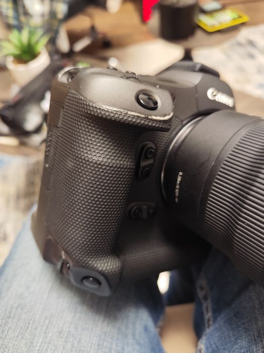 Canon R3, mirrorless camera!